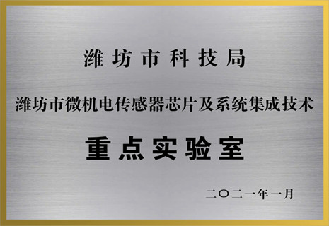 安鑫娱乐电子获批潍坊市重点实验室声誉