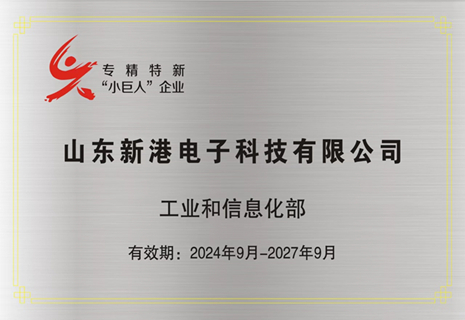 喜讯！安鑫娱乐电子入选第六批专精特新“小巨人”企业称呼